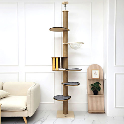 ���̶� �ö��� Ĺ��