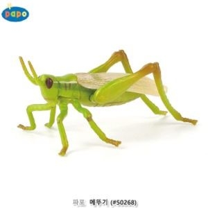 마이몰12 모형완구 메뚜기 장난감곤충 어린이집교구
