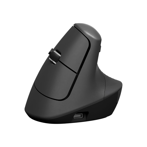 앱코 WEM65 인체공학 WIRELESS FREE 무선 버티컬 (블랙)_이미지