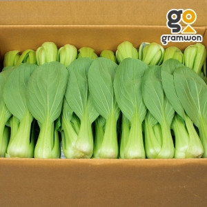 그램원 청경채 4kg 마라탕 샤브샤브 편백찜 국내산_이미지