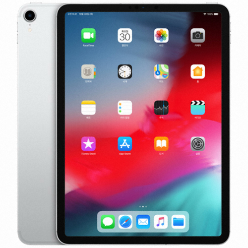 APPLE iPad Pro 11 1세대 Cellular 해외구매 (64GB)_이미지