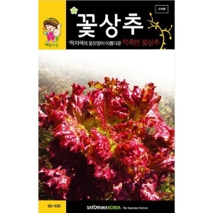 플라워 상추 씨앗 채소 종자 야채 씨 lettuce seed 3000알_이미지