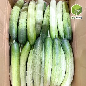 백다다기<b>오이</b> 상 5kg