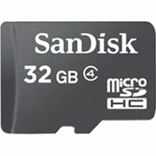 Sandisk micro SD 2010 (32GB)