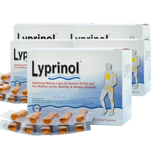 �ĸ���ũ �������� �ʷ���ȫ�տ��� 200ĸ��