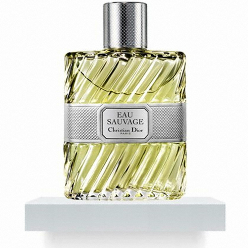 디올뷰티 오 쏘바쥬 EDT (100ml)_이미지