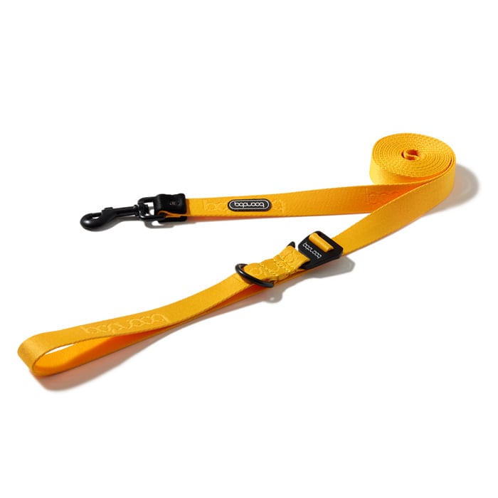 [불명] 분독 플레이리쉬 250 옐로우_이미지