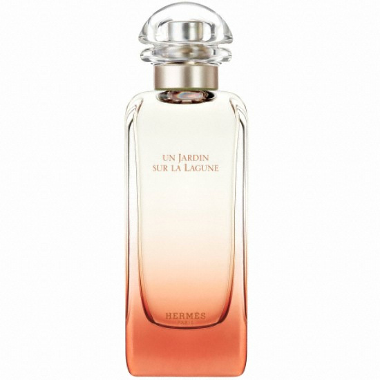  에르메스 운 자르뎅 수르 라 라군 EDT [100ml]