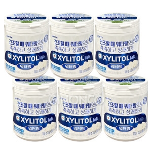 롯데제과 자일리톨 랩워터링 용기 100g (6개)_이미지