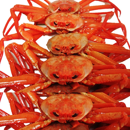 붉은대게 프리미엄 자숙 2kg (1개)_이미지