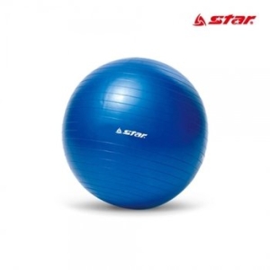 STAR 마사지 미니 짐볼 블루 45cm_20739654