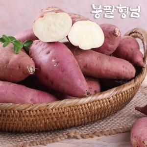 햇 꿀밤고구마 특대 5kg