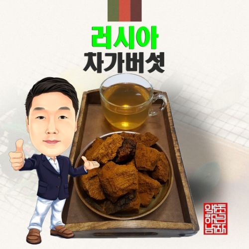 러시아산 차가버섯  경북 영천  수입산 수입