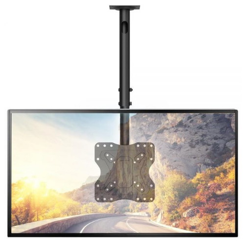 WALI TV 천장 마운트 CM2343 (해외구매)