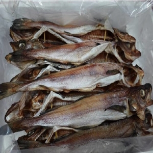코다리 명태 코다리2미 5팩 10미