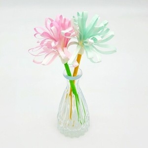 알록달록 양배추 종이꽃 5인용 EDU-40220 / 과학 체험학습 키트 교구