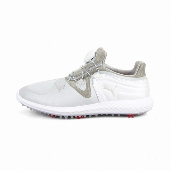 이그나이트 블레이즈 스포츠 디스크 보아 190585-01