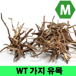 WT 가지유목 M /모스활착/어항장식/레이아웃