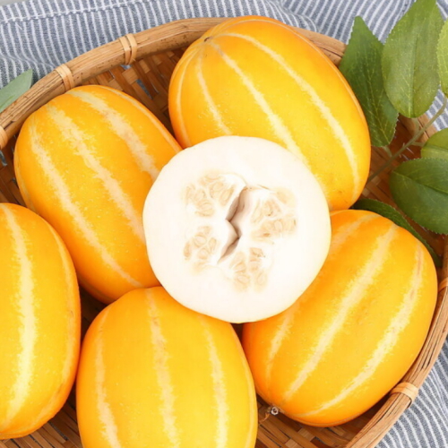 오늘담은 못난이 성주참외 랜덤과 3kg (1개)