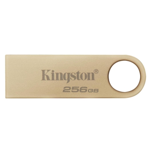 킹스톤 DataTraveler SE9 G3 해외구매 (256GB)_이미지