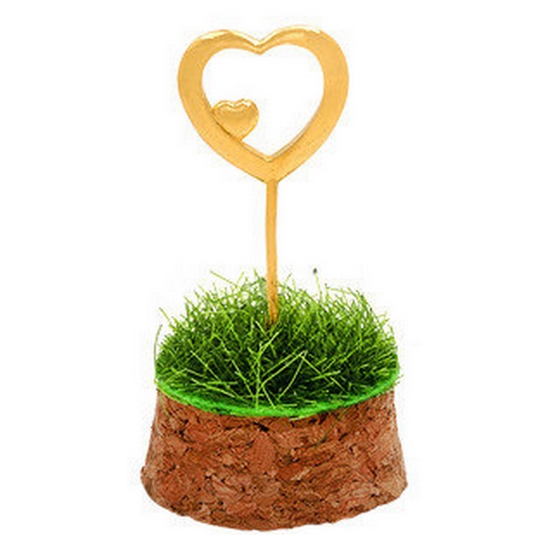 혼골드모아 골드모아 잔디 하트 돌선물 3.75g_이미지