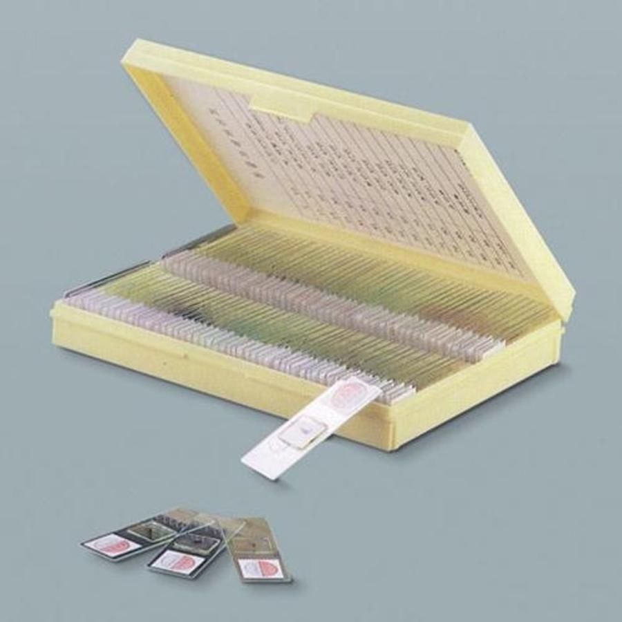 ���̾�119 ���������Ķ�Ʈ��Ʈ-3/JS-31188