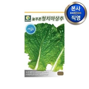 다농 늘푸른(여름) 청치마상추씨앗 3g_이미지