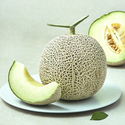 가온누리 머스크 멜론 (1.6kg,1개)_이미지