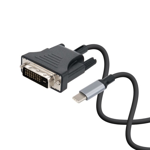 IH497 Type C to DVI 케이블
