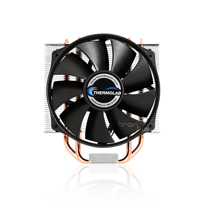 TRINITY 트리니티