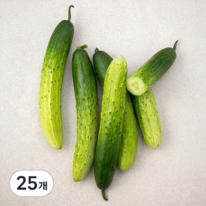 곰곰 국내산 백오이 5입 (5개)_이미지
