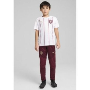 푸마 키즈 맨체스터 시티 유스 클럽 웨어 다크 jasper 10604779 134963736_이미지