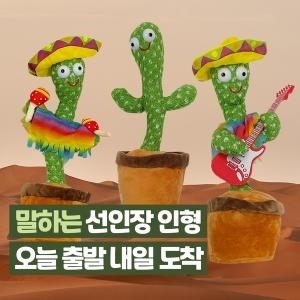 다다랜드 말따라하는 선인장인형이미지입니다. 누르면 해당 게시물로 새창이동합니다.