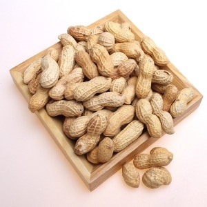 쪽빛누리 땅콩 피땅콩 볶음피땅콩 500g 껍질땅콩 볶은 피땅콩_이미지