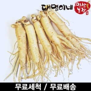 대명이네 세척진공원삼소 5뿌리 250g