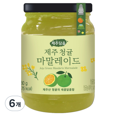 오뚜기 제주담음 제주 청귤 마말레이드 280g (6개)