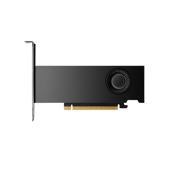 NVIDIA RTX 2000 Ada Generation D6 16GB_이미지