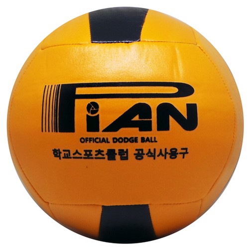 피안 KDBF 피구공 2020_이미지