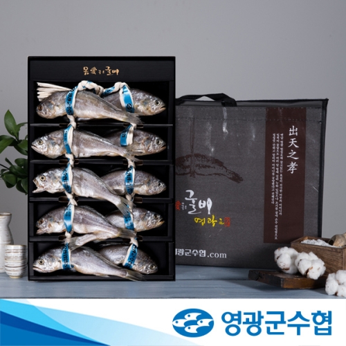 법성포 영광 오가 굴비 1kg 10미