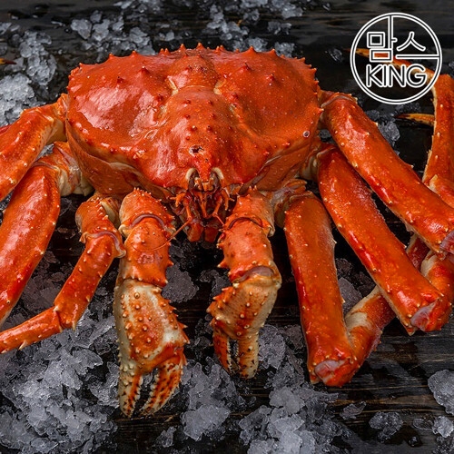 맘스킹 추암수산 러시아 선어 자숙 레드킹크랩 4kg (1개)