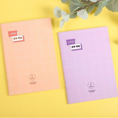 플레플레 나만의 공부 목표 한달 스터디플래너_이미지