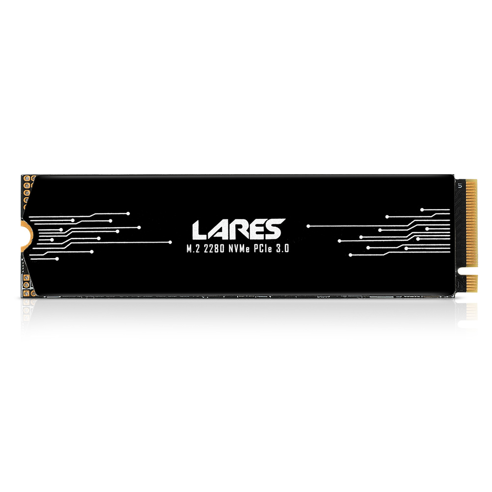 J&A LEVEN JP600 LARES M.2 NVMe (256GB)_이미지