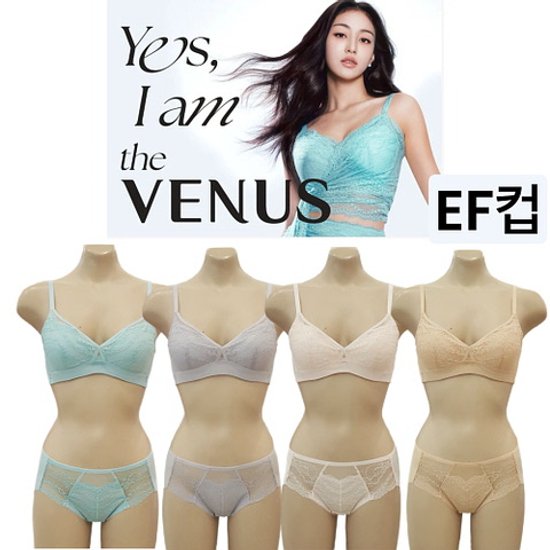  비너스 란제리 햄라인팬티 봄광고브라 Yes I am 브라 큰사이즈브라 큰컵브라 VBRPT9005FHE