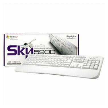 스카이디지탈 SKY-5900 화이트