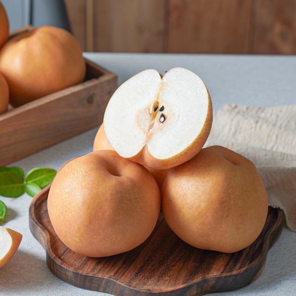 푸드대통령 나주 햇 신고배 특상 대과 5-8과 5kg (1개)_이미지
