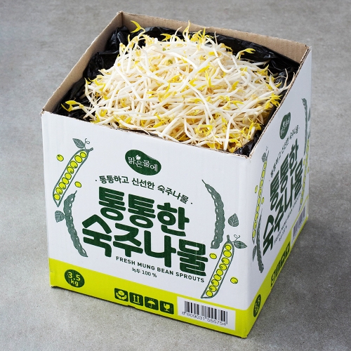 맑은물에 통통한 숙주나물 3.5kg 1박스이미지입니다. 누르면 해당 게시물로 새창이동합니다.