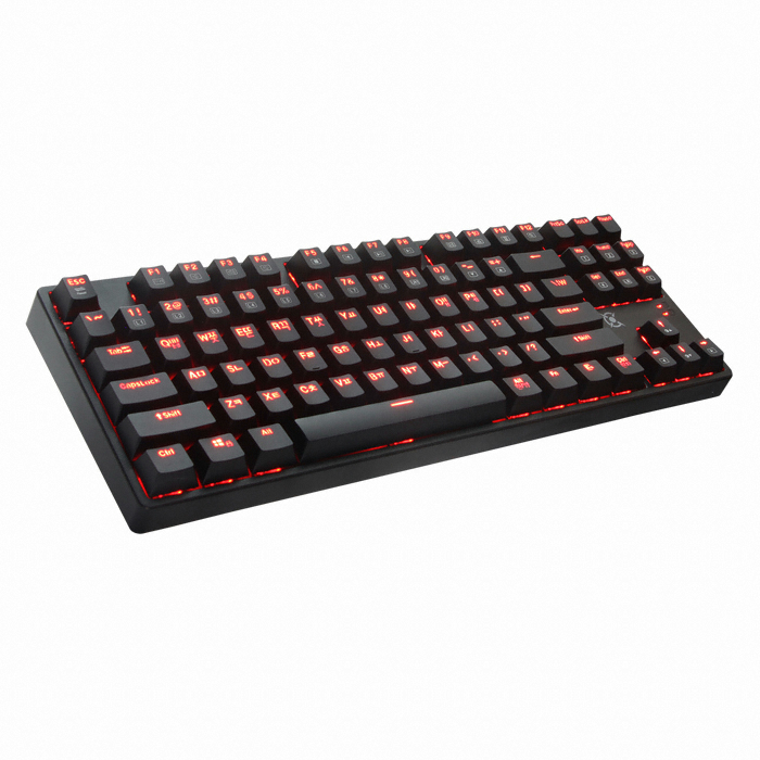 COX CK250 ��ü�� LED ���� ���̹� ��Ű���� ����