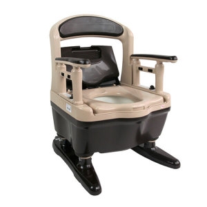 케어맥스 플라스틱 이동변기 533-900