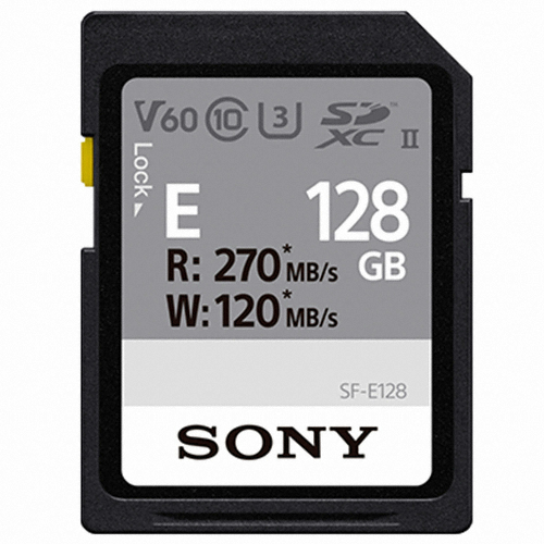SONY SD E시리즈 2020 (128GB)