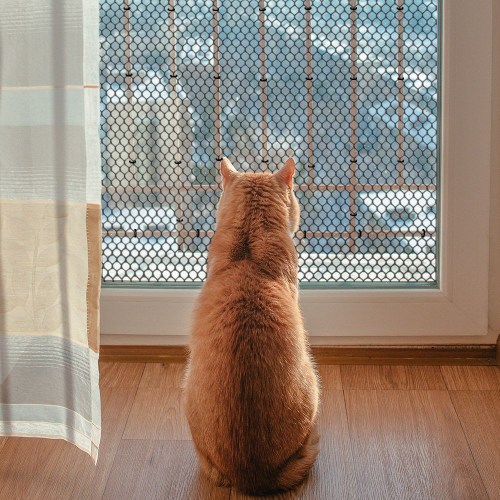 딩동펫 헥사곤 안전 울타리망 1m_이미지